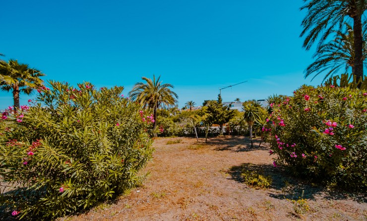 Wederverkoop - Villa - Orihuela Costa - Playa Flamenca