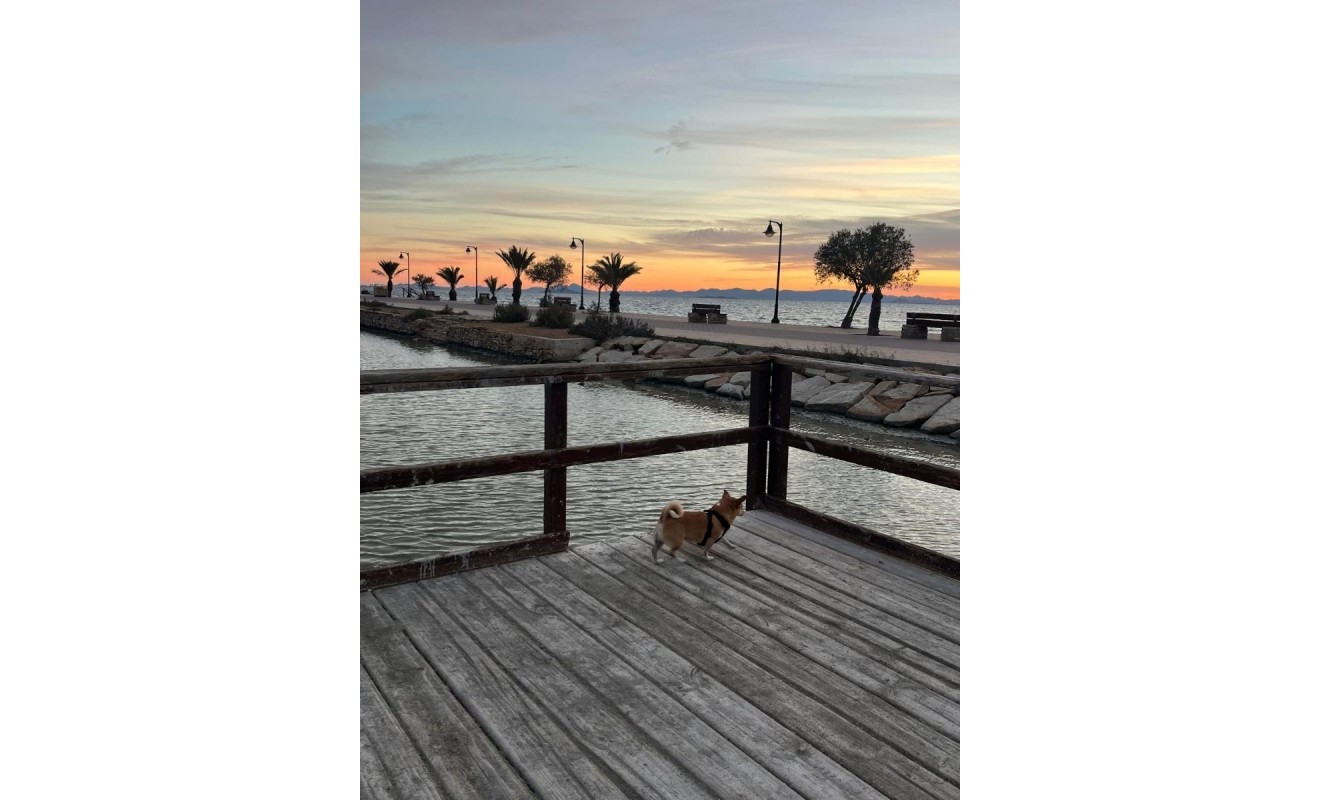 Wederverkoop - Bungalow - Groundfloor - San Pedro del Pinatar - Lo pagan