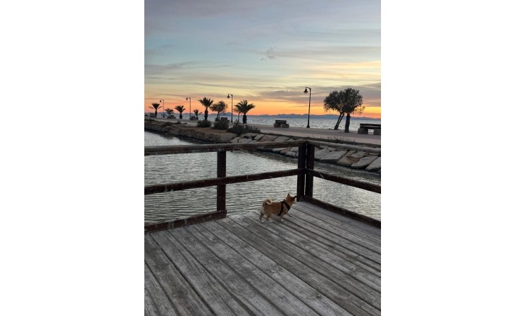 Wederverkoop - Bungalow - Groundfloor - San Pedro del Pinatar - Lo pagan