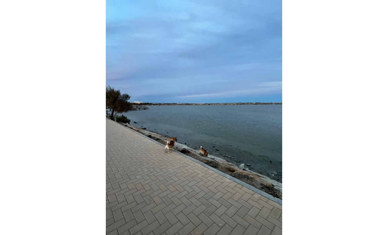 Wederverkoop - Bungalow - Groundfloor - San Pedro del Pinatar - Lo pagan