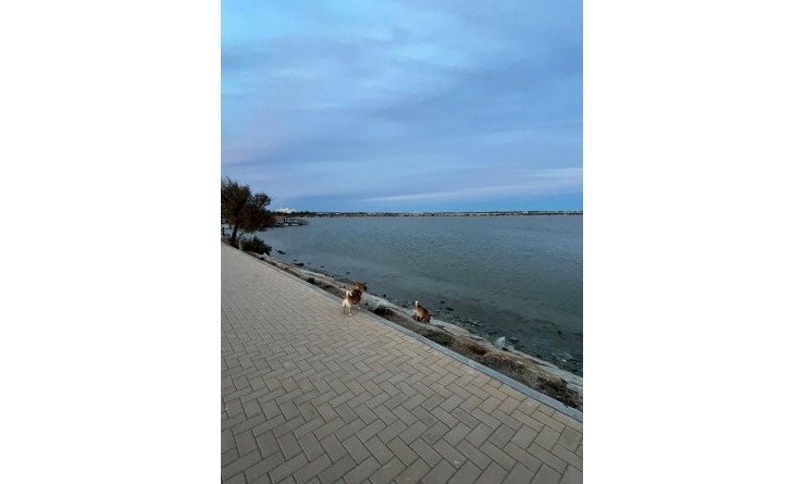 Wederverkoop - Bungalow - Groundfloor - San Pedro del Pinatar - Lo pagan