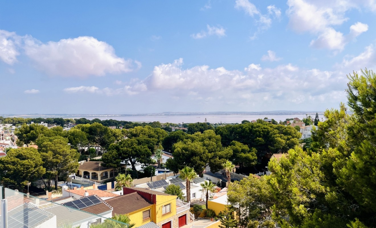 Sale - Villa - Los Balcones