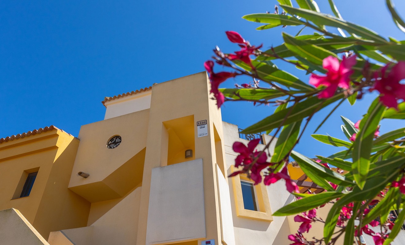 Revente - Appartement - Torrevieja - Los altos