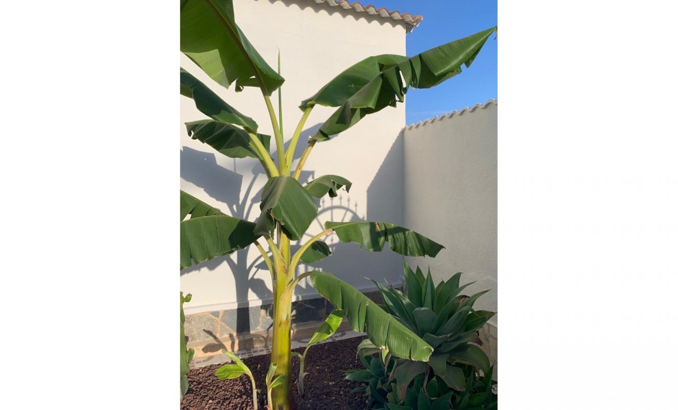 Wederverkoop - Villa / Detached - Ciudad Quesada - Quesada Center