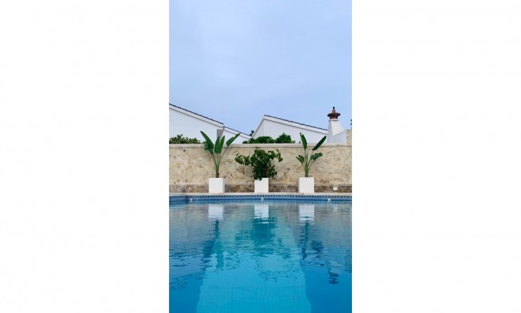 Wederverkoop - Villa / Detached - Ciudad Quesada - Quesada Center