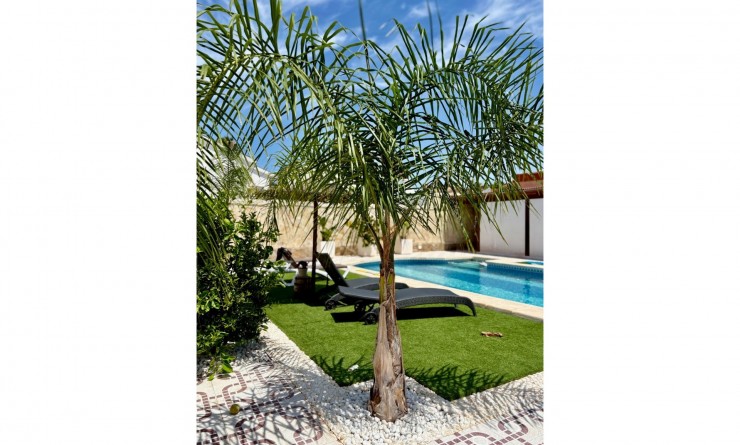 Wederverkoop - Villa / Detached - Ciudad Quesada - Quesada Center