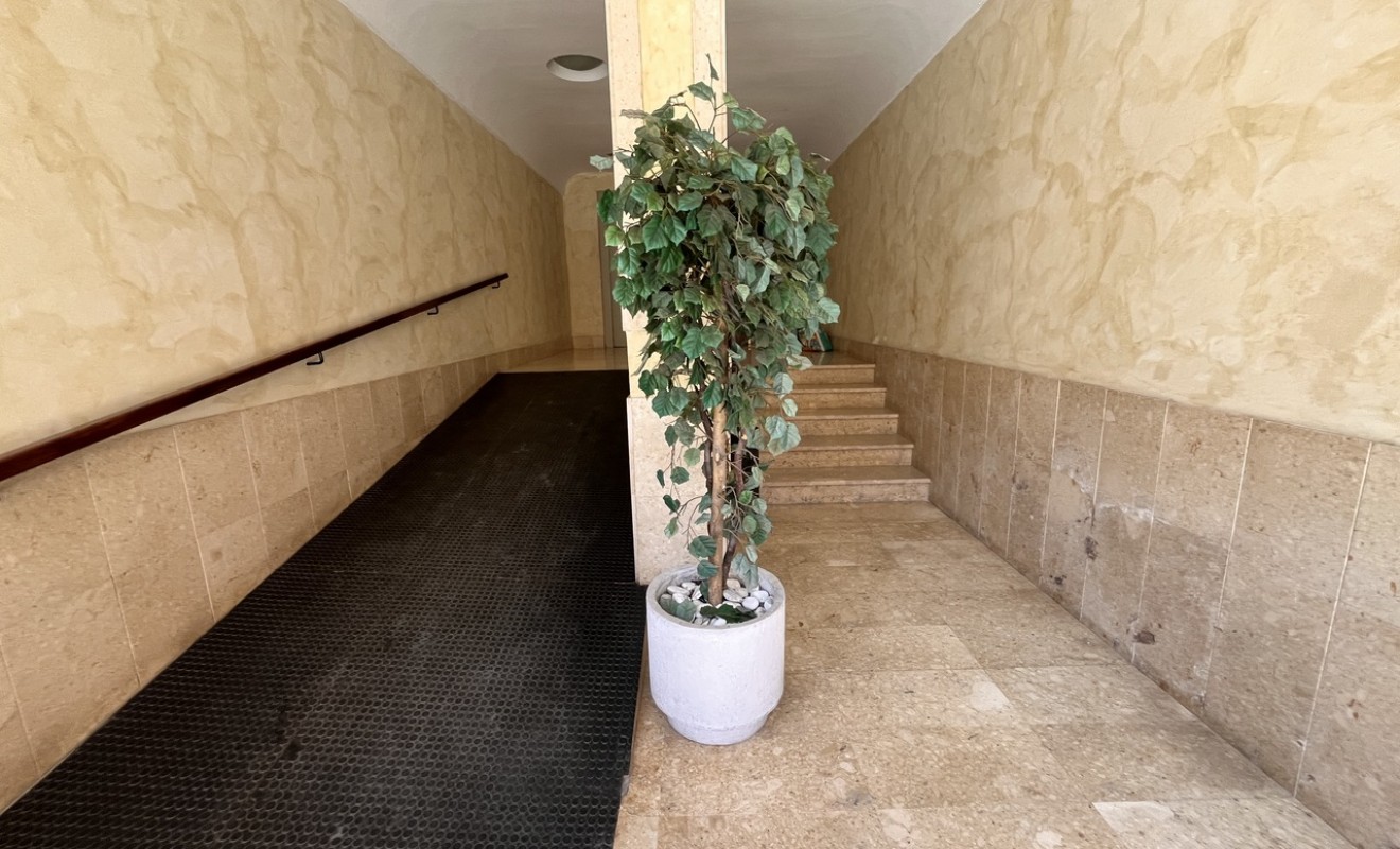 Wederverkoop - Appartement - Almoradí