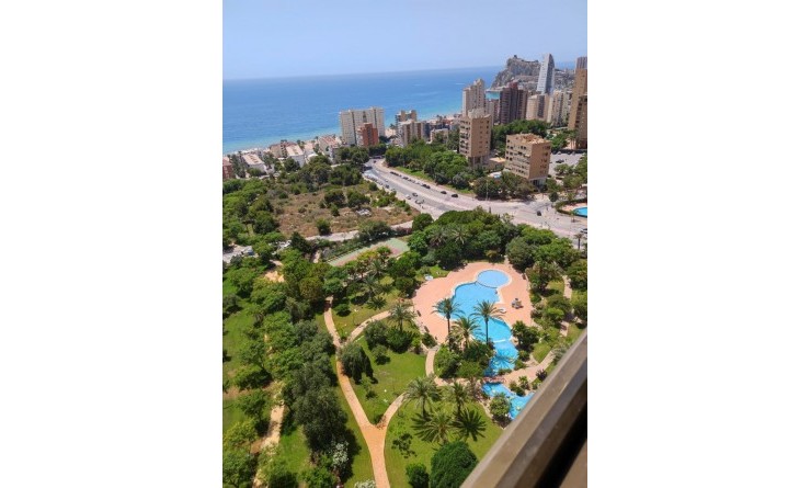 Wederverkoop - Apartment / flat - Benidorm - Levante