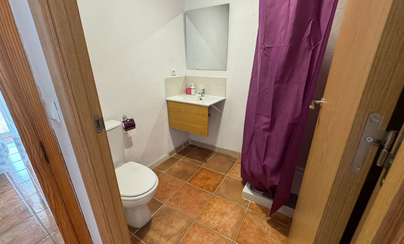 Wederverkoop - Hostel - Gandía - Playa de Gandía