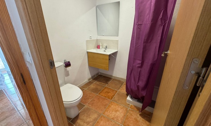 Wederverkoop - Hostel - Gandía - Playa de Gandía