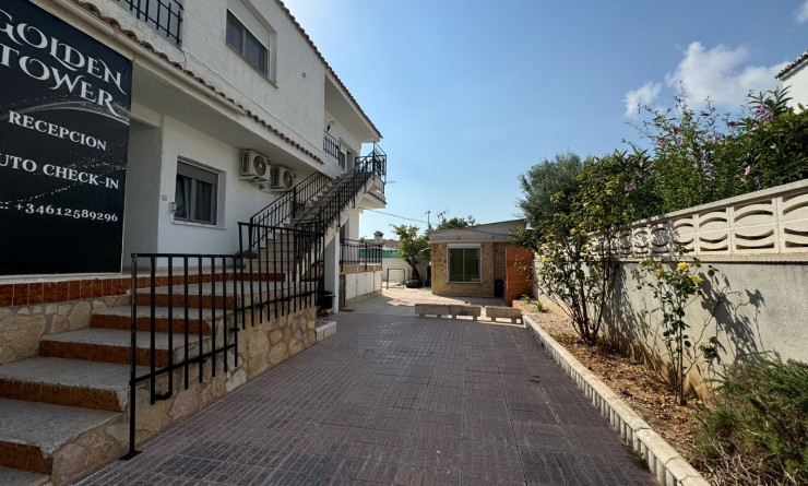 Wederverkoop - Hostel - Gandía - Playa de Gandía