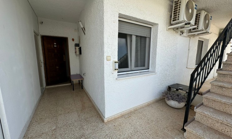 Wederverkoop - Hostel - Gandía - Playa de Gandía