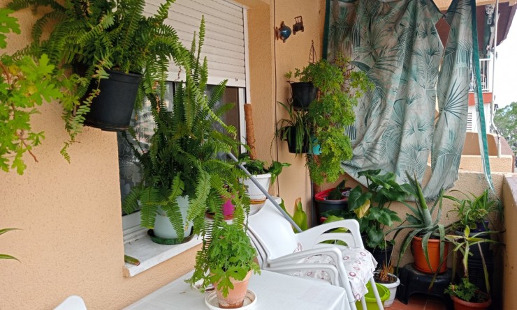 Wederverkoop - Apartment / flat - Benidorm - Levante