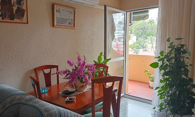 Wederverkoop - Apartment / flat - Benidorm - Levante