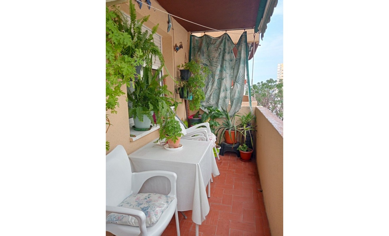 Wederverkoop - Apartment / flat - Benidorm - Levante