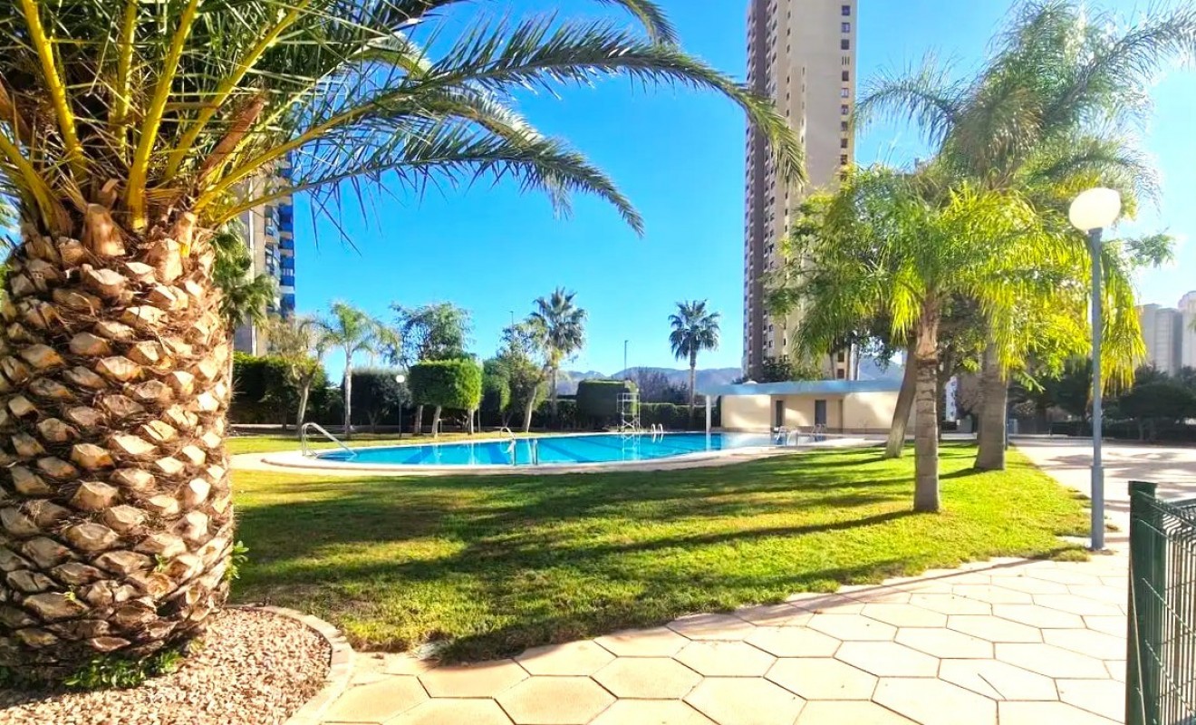 Wederverkoop - Apartment / flat - Benidorm - Levante