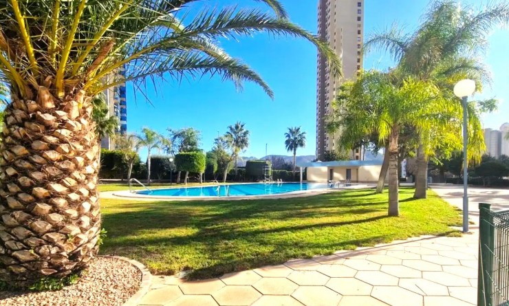 Wederverkoop - Apartment / flat - Benidorm - Levante