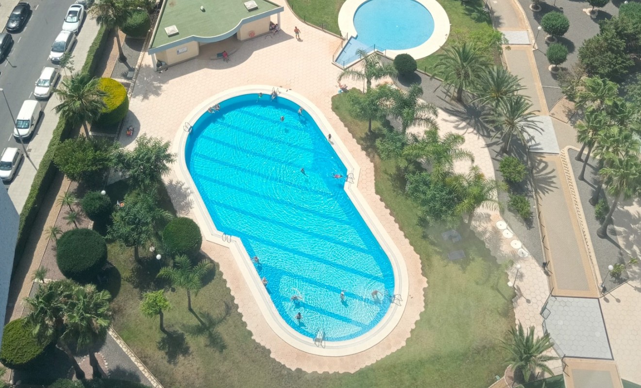 Wederverkoop - Apartment / flat - Benidorm - Levante