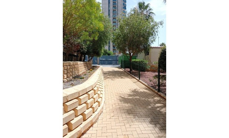 Wederverkoop - Apartment / flat - Benidorm - Levante