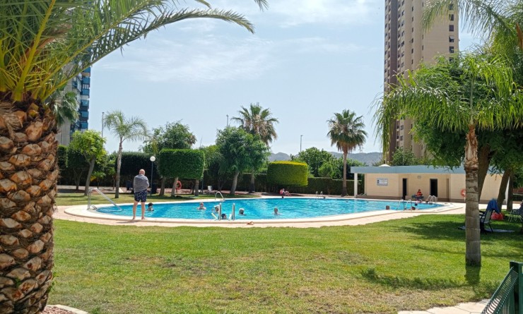 Wederverkoop - Apartment / flat - Benidorm - Levante