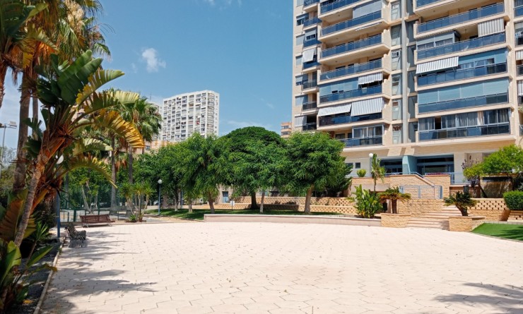 Wederverkoop - Apartment / flat - Benidorm - Levante