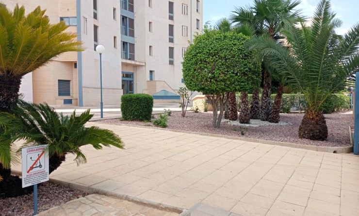 Wederverkoop - Apartment / flat - Benidorm - Levante