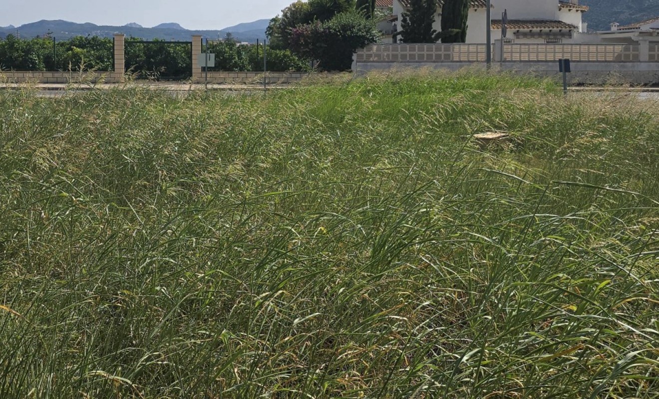 Wederverkoop - Perceel / Terrein - Els Poblets