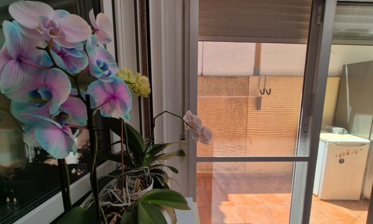 Wederverkoop - town_house - Torrevieja - Costa Blanca Sur