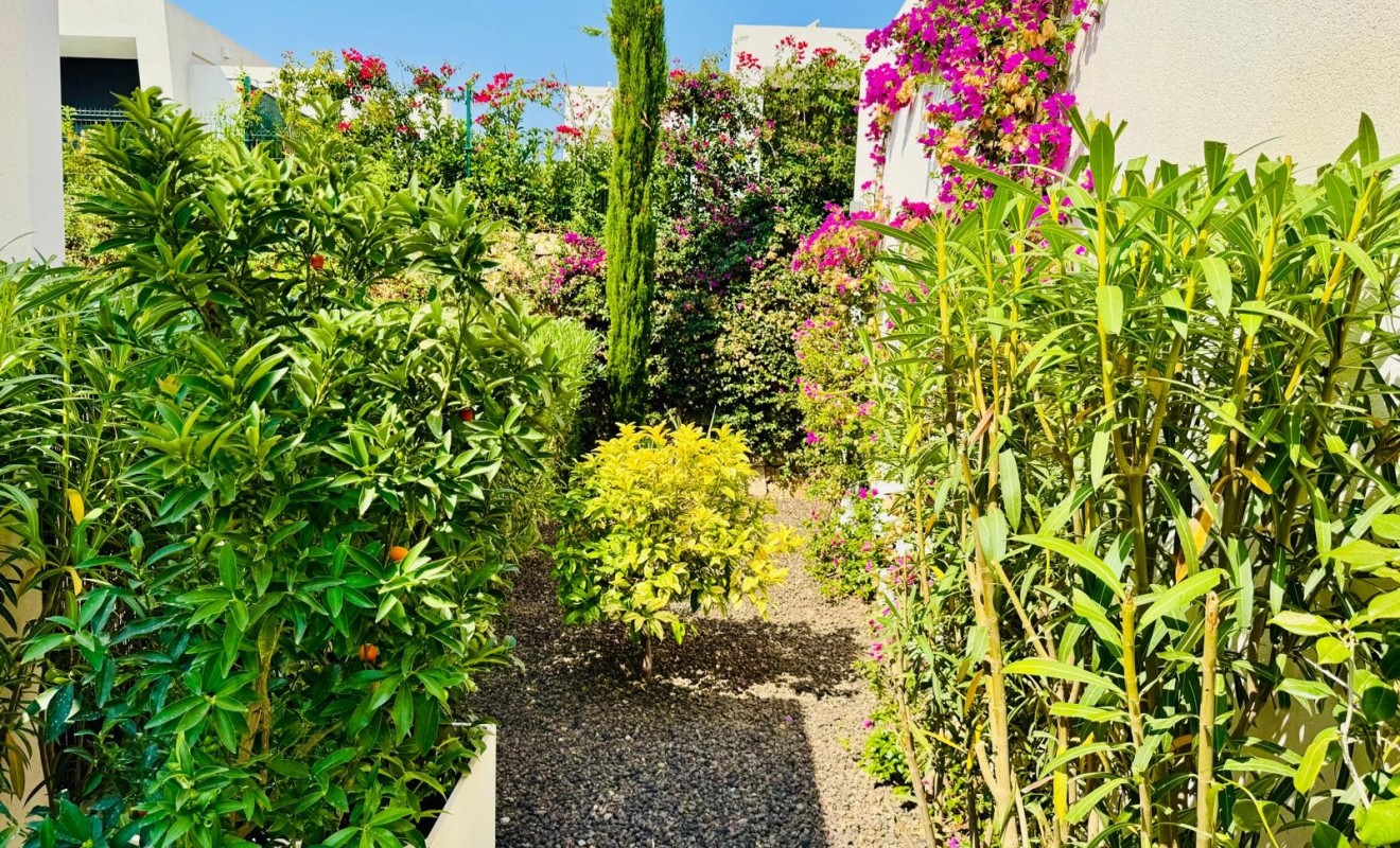 Revente - Villa - Algorfa - La Finca Golf