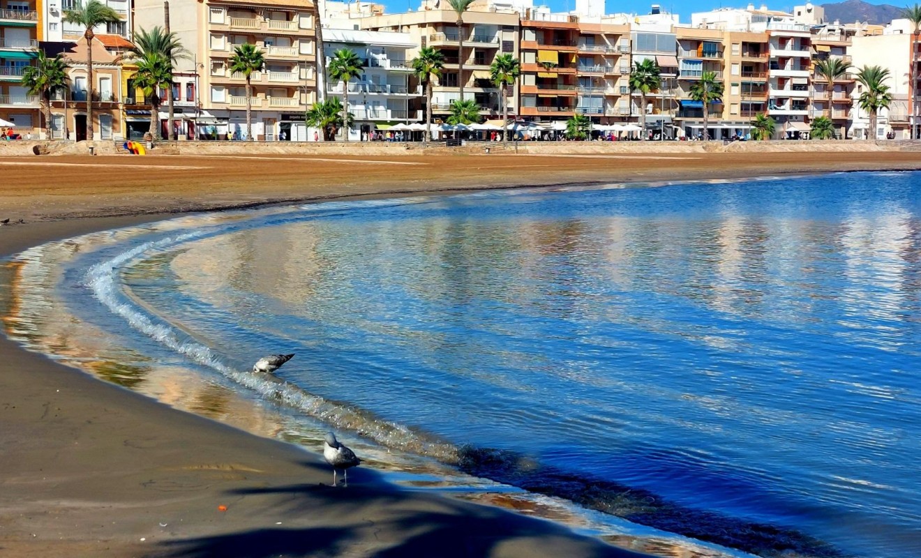 Nieuwbouw woningen - Town House - Fuente Álamo - La Pinilla