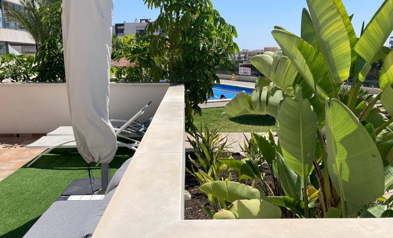 Revente - Appartement - Los Dolses