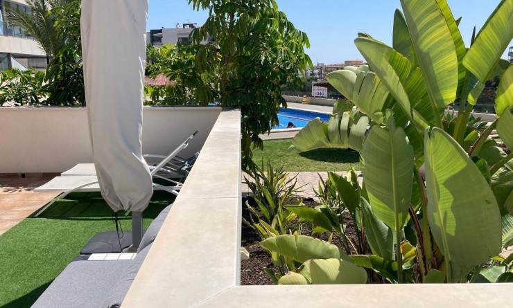 Revente - Appartement - Los Dolses