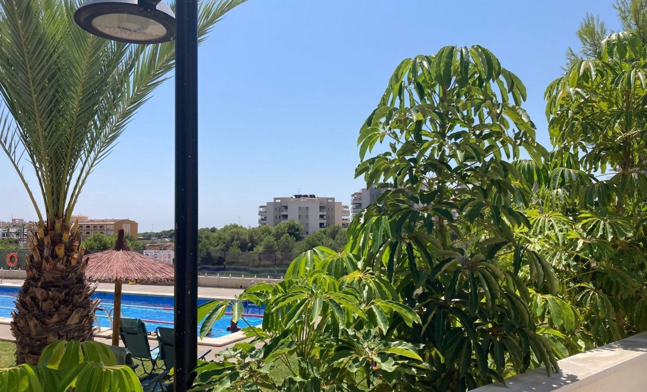 Revente - Appartement - Los Dolses