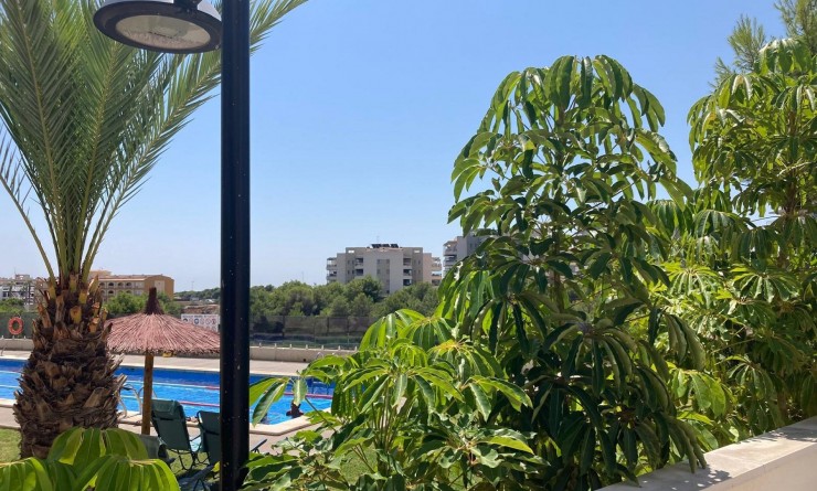 Revente - Appartement - Los Dolses