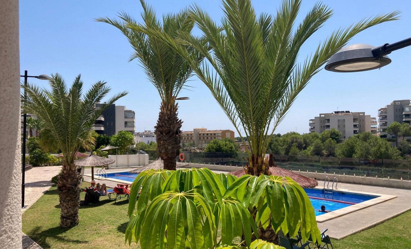 Revente - Appartement - Los Dolses