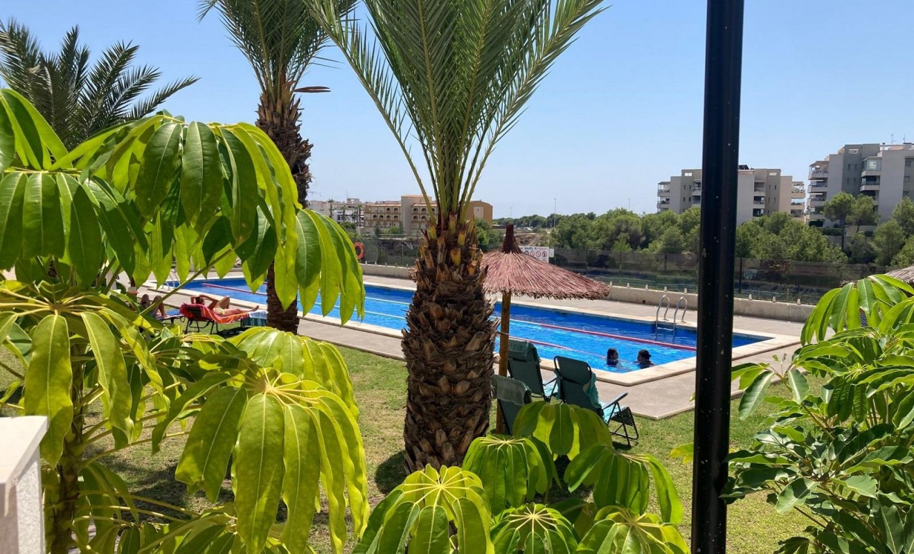 Revente - Appartement - Los Dolses