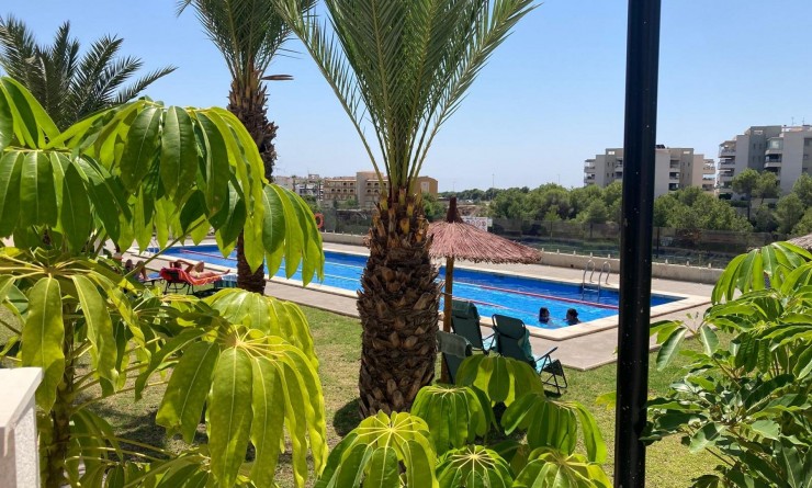 Revente - Appartement - Los Dolses