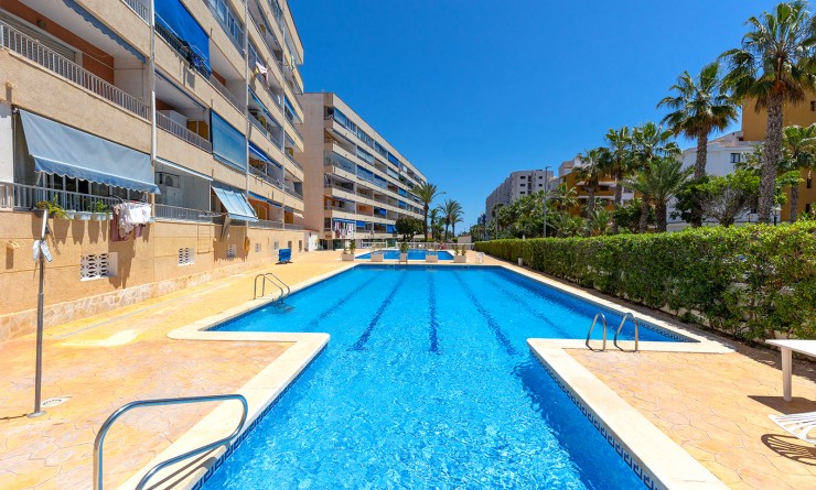 Wederverkoop - Appartement - Torrevieja - Rocio del mar