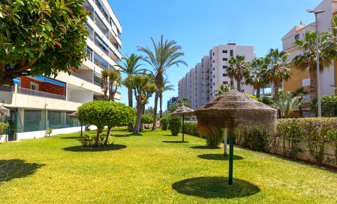 Wederverkoop - Appartement - Torrevieja - Rocio del mar
