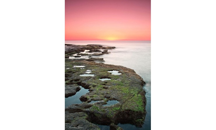 Nieuwbouw woningen - Bungalow - Torrevieja - Altos del Sol