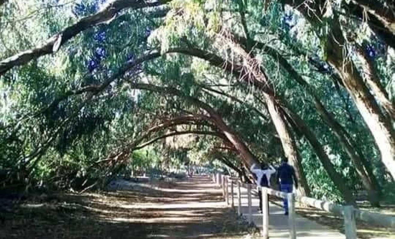 Nieuwbouw woningen - Bungalow - Torrevieja - Altos del Sol