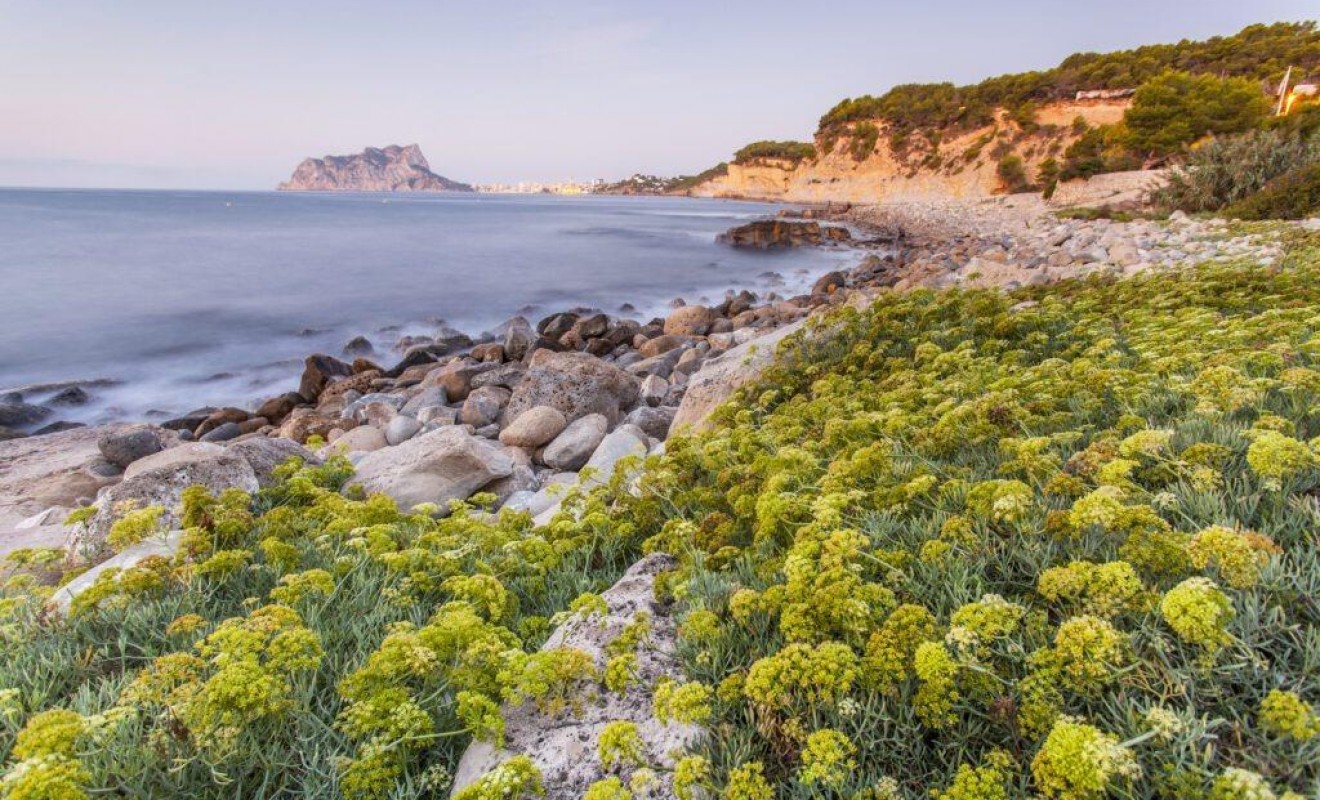 Nieuwbouw woningen - Villa - Benissa - Cala Advocat