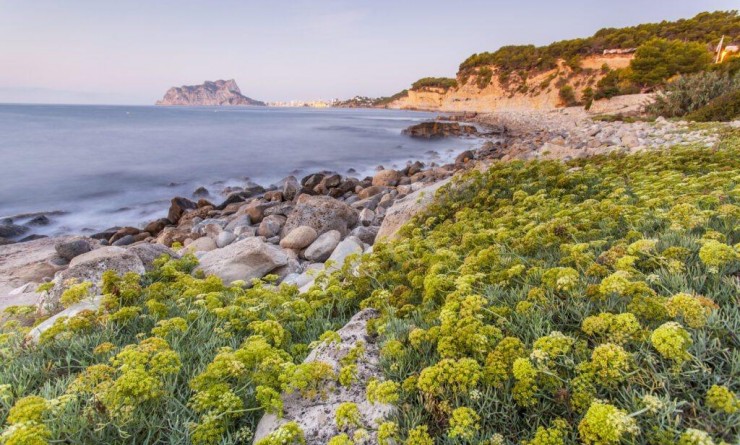 Nieuwbouw woningen - Villa - Benissa - Cala Advocat