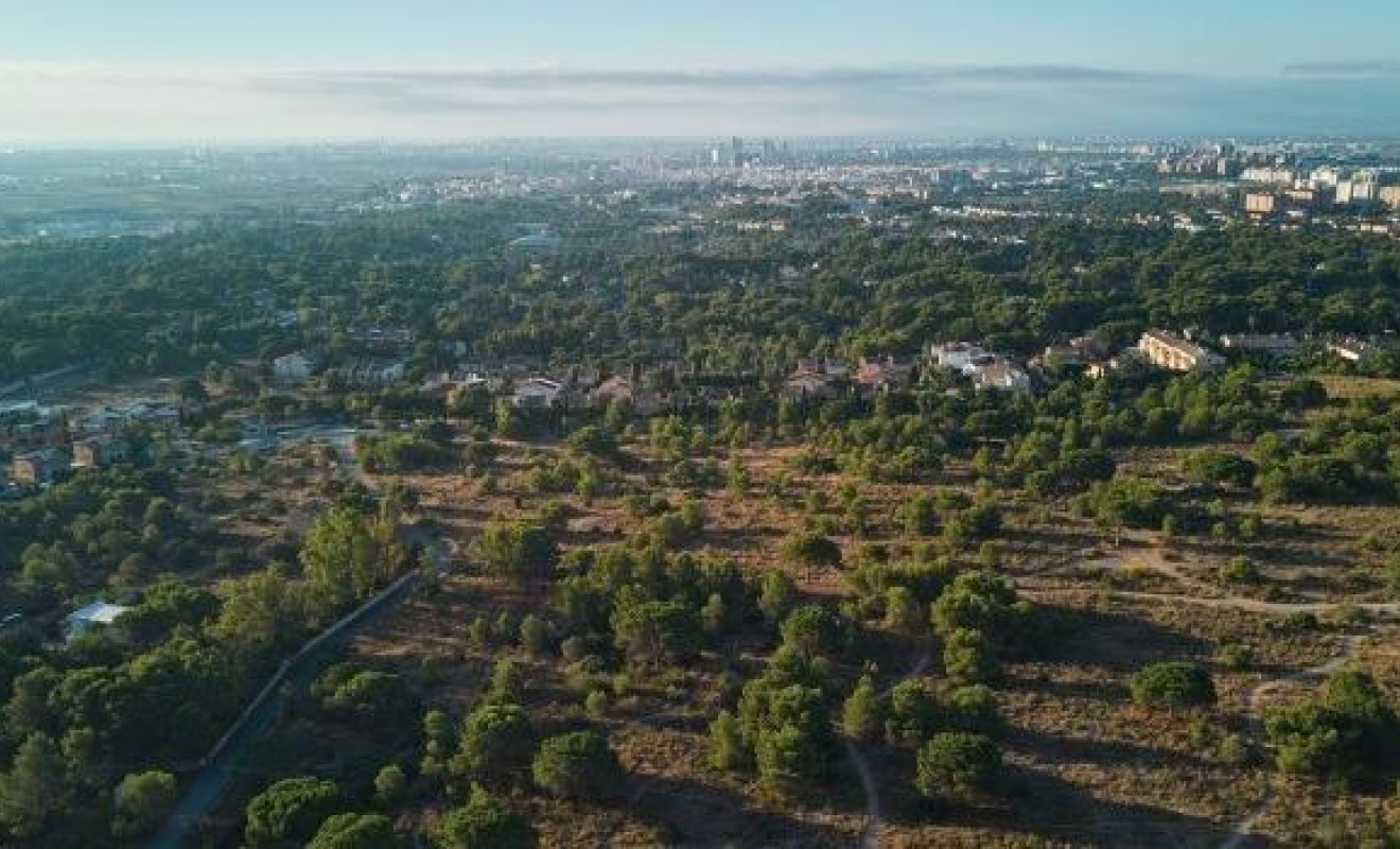 Nouvelle construction - Ground floor apartment - Godella - Campolivar