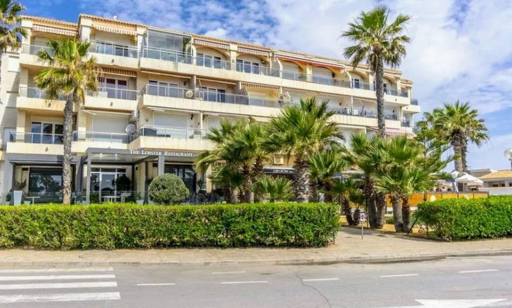 Sale - Apartamento - Torrevieja - Playa Flamenca