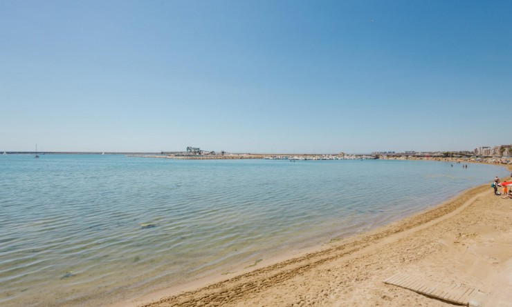 Sale - Apartamento - Torrevieja - Playa del Acequión