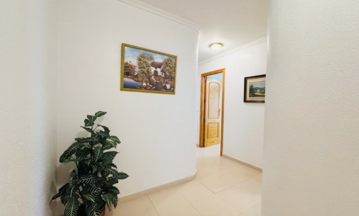 Wederverkoop - Apartment / flat - Torrevieja - Torrelamata - La Mata