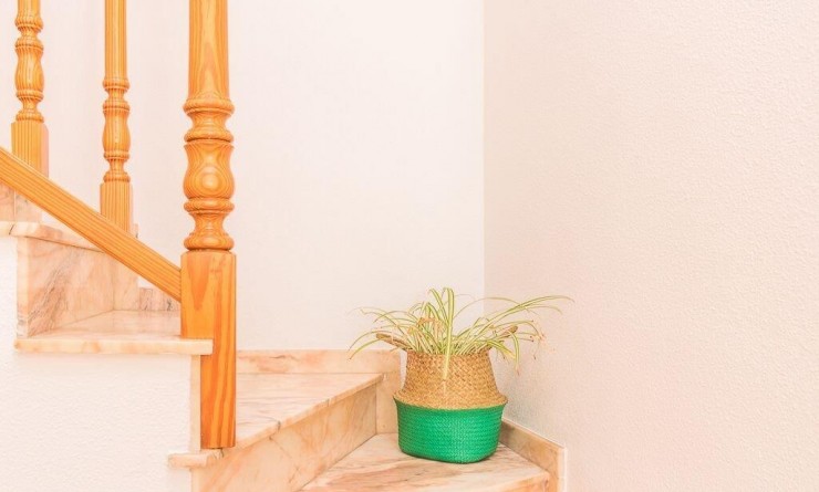 Sale - semi_detached_house - Orihuela - Playa Flamenca