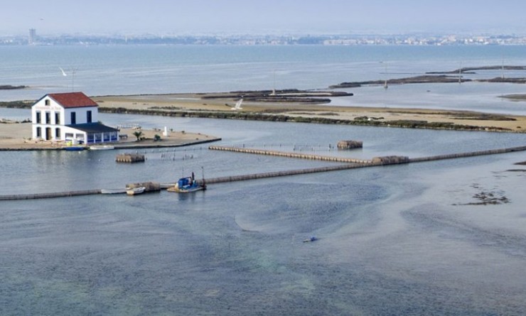 Nieuwbouw woningen - Villa - San Pedro del Pinatar - El salero