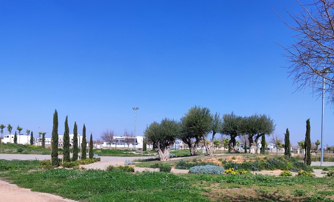 New Build - Penthouse - Torre Pacheco - Centro